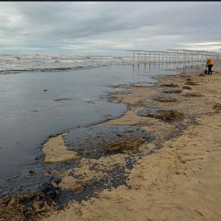 Помощь Чёрному морю — фото 2
