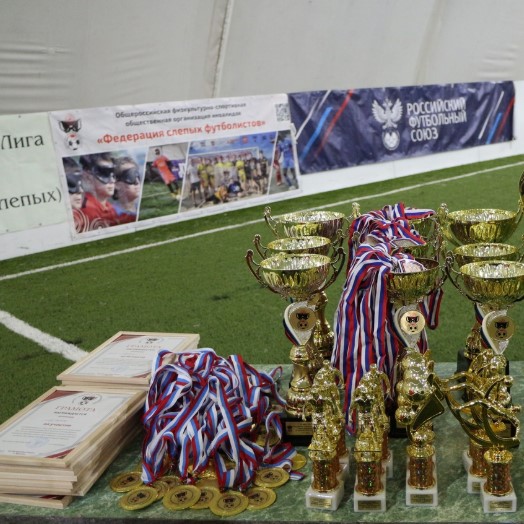 Ротарианская помощь слепым — Казань